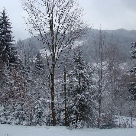 Soaptele Padurii & Casuta Din Padure Sucevita Habitación foto