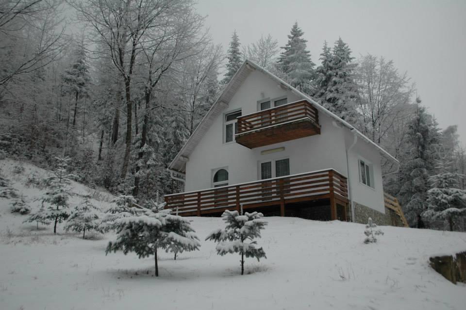 Soaptele Padurii & Casuta Din Padure Sucevita Habitación foto